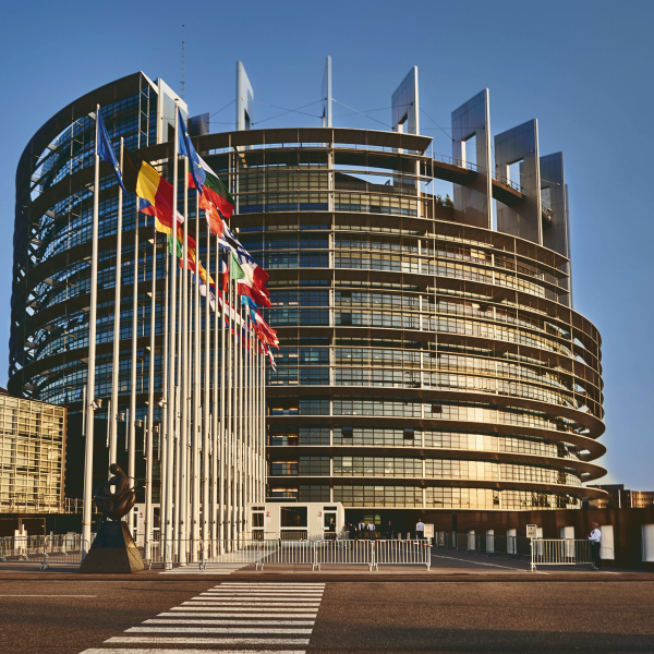 European Court of Auditors audited the protection of IPR