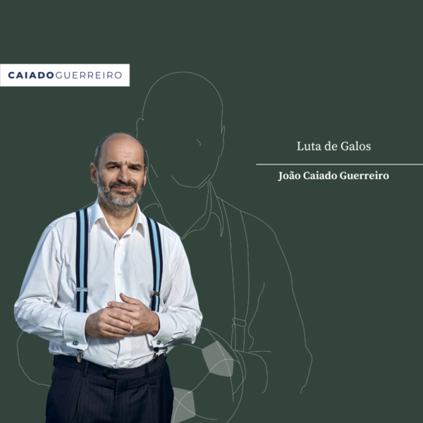 Direito ao Golo | Luta de Galos